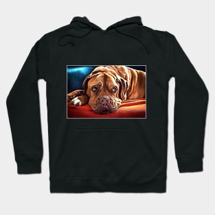 Cute Bulldog Hoodie